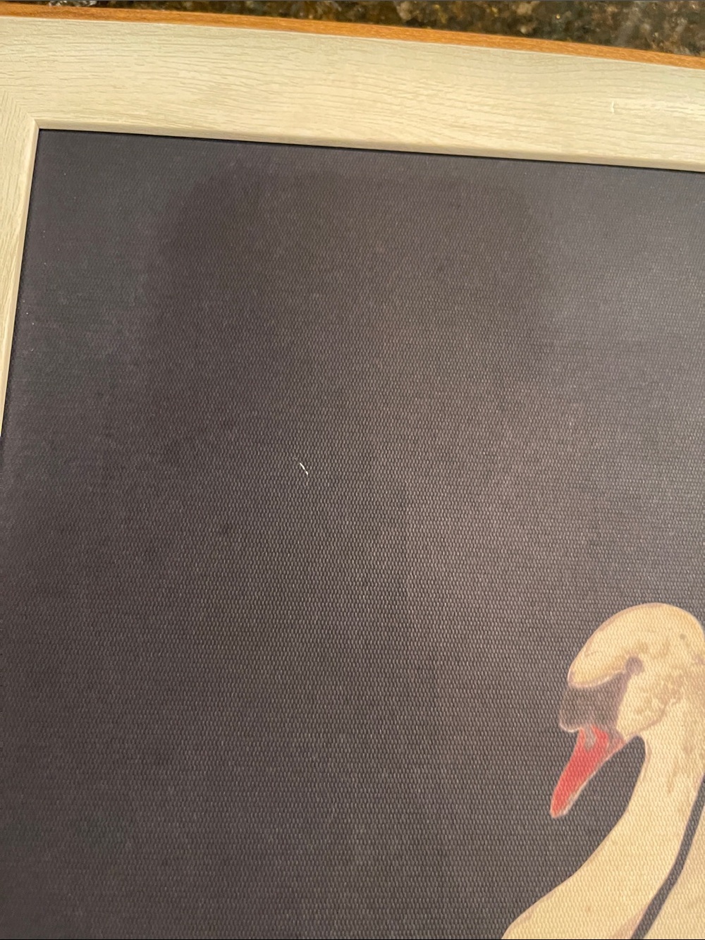 Framed Swan Artwork - Cream Swan on Dark Backgroundy - Picture 8 of 14